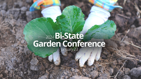 Home Vegetable Gardening | Illinois Extension | UIUC